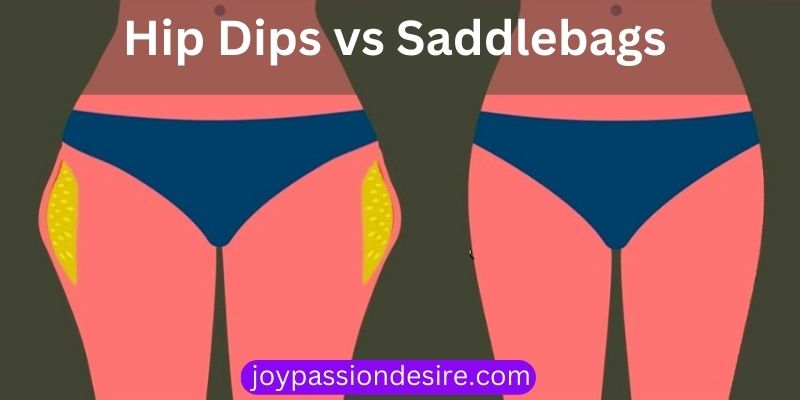 Hip Dips vs Saddlebags