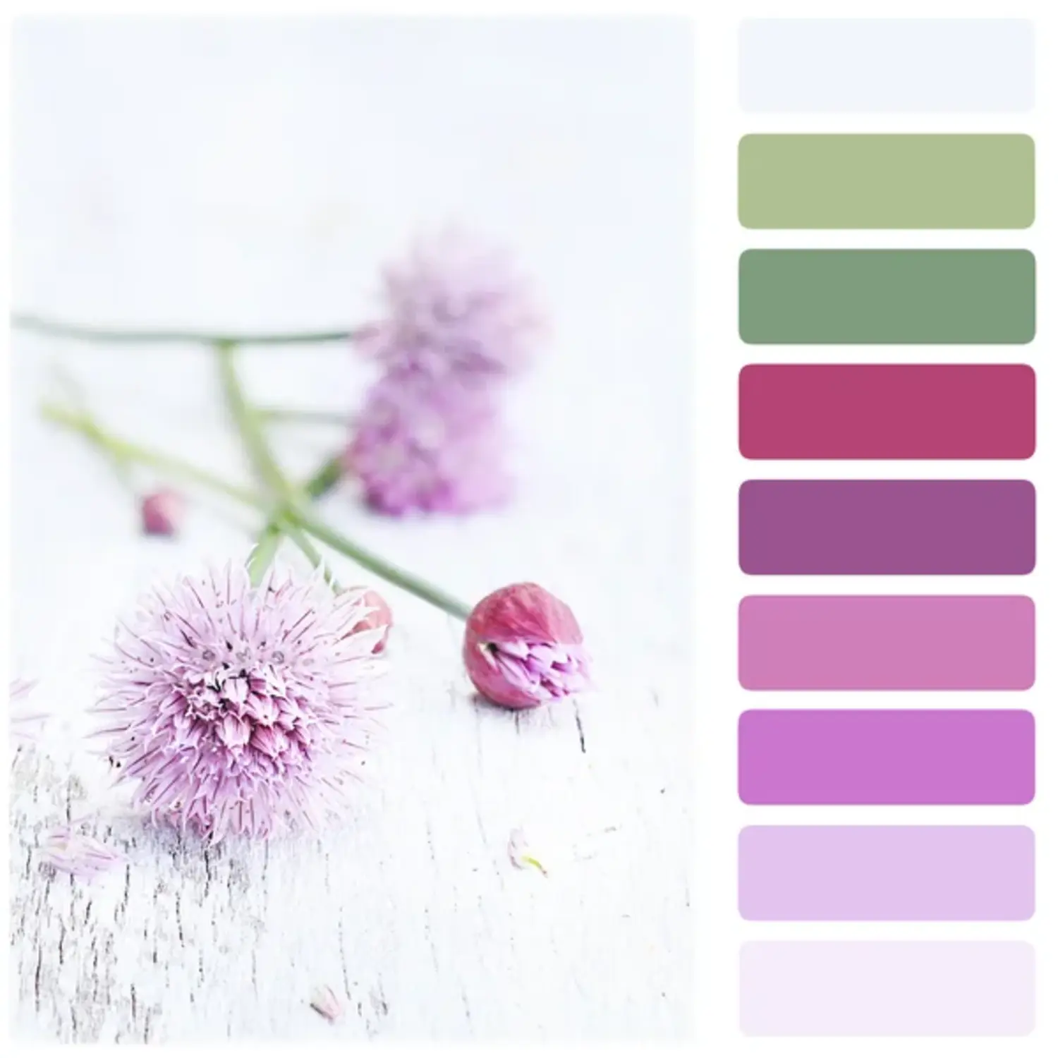 Lilac: Enchanting Whimsy